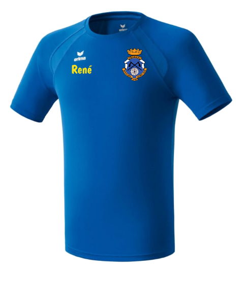 Vereinstrikot-Bogen-Brust_Teamstolz